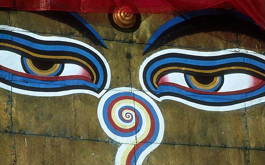 Tibetan Eyes